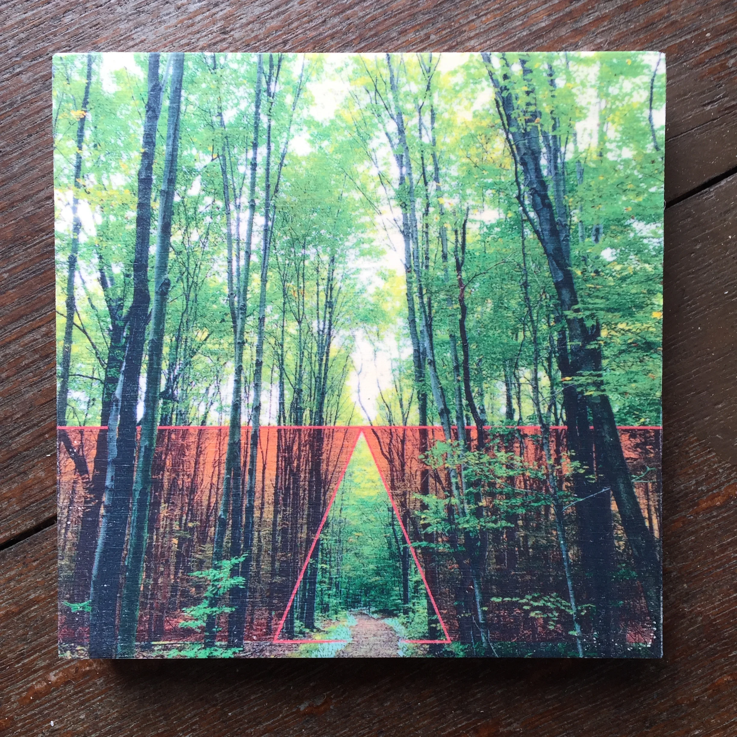Forest Gateway