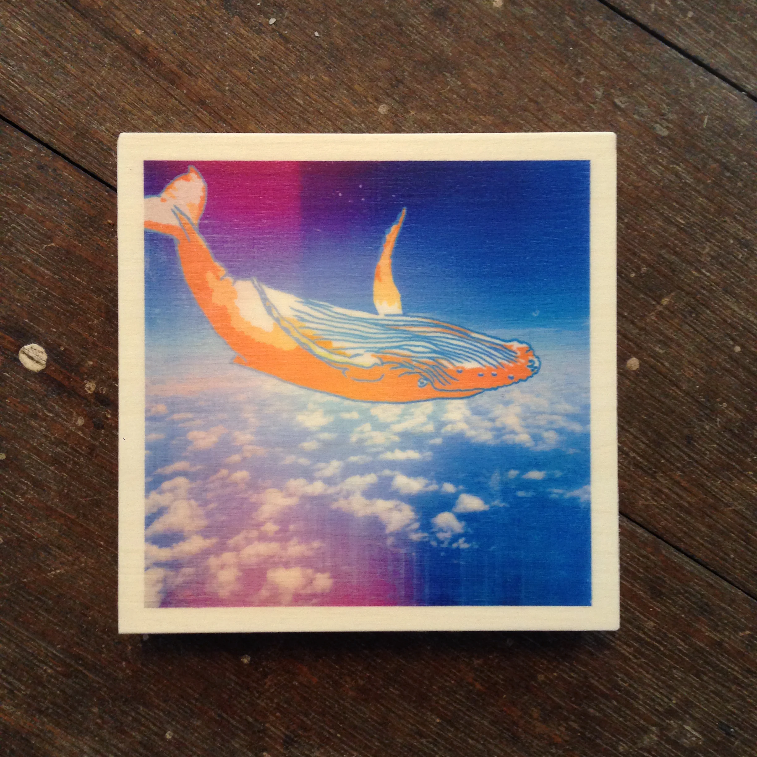 Whale Falling