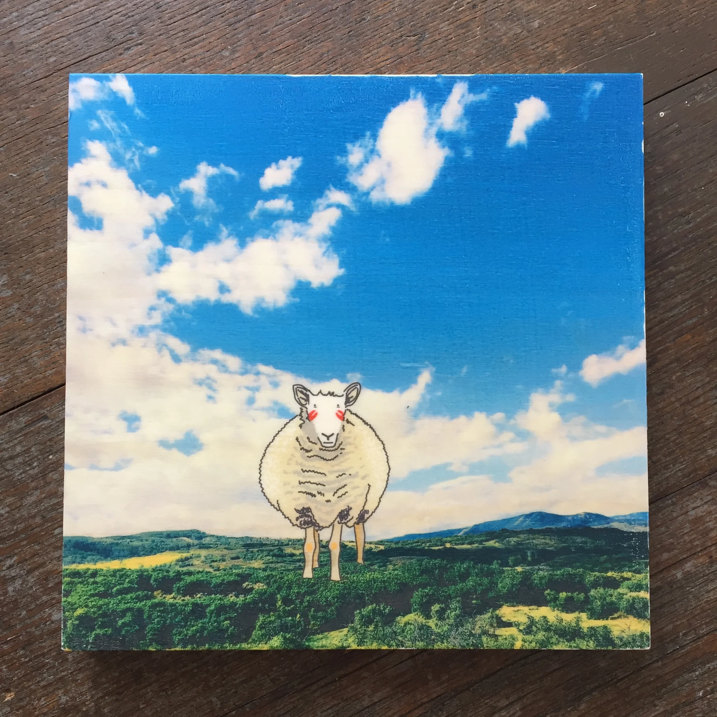 Sheep