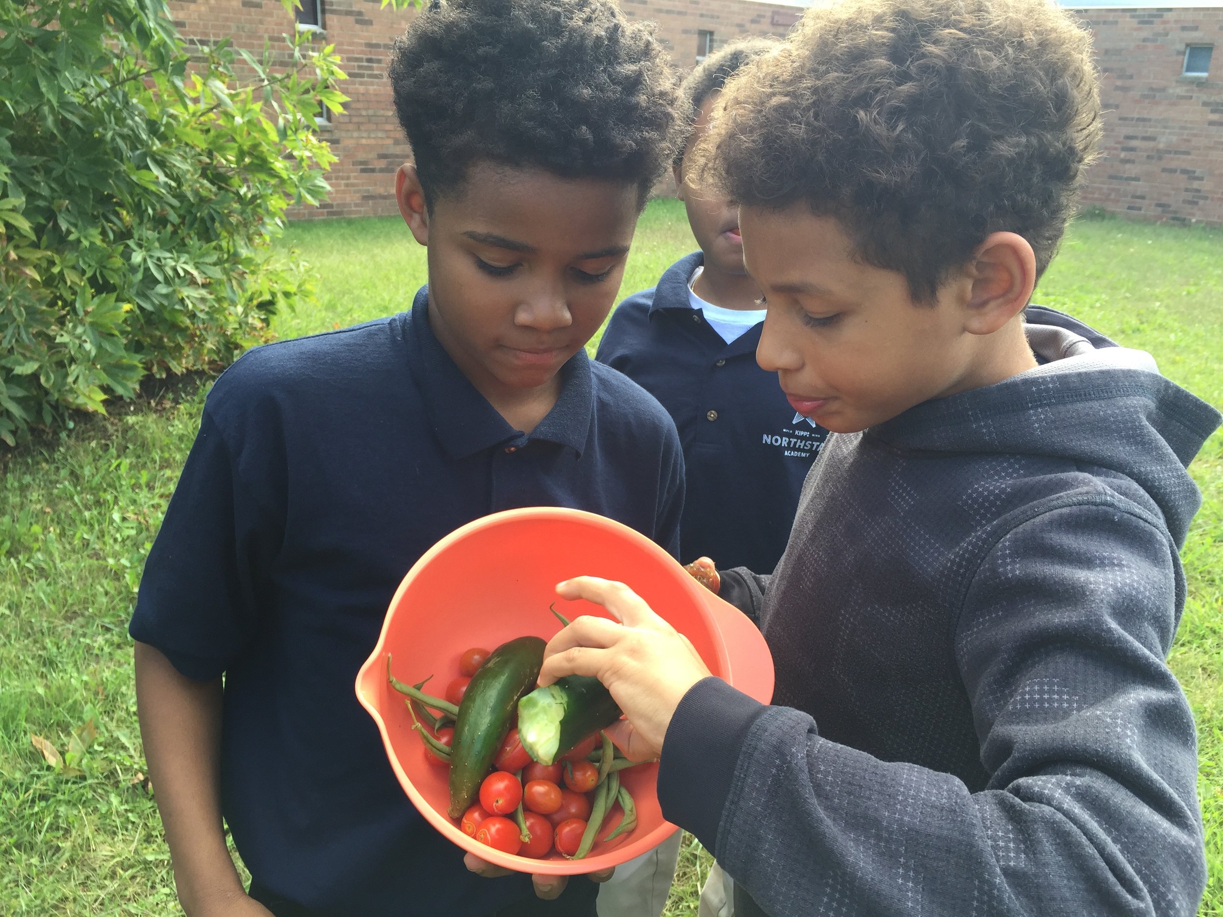Stephen and a classmate sampled a cucumber before loading garden produce in the bags to bring home to their families.