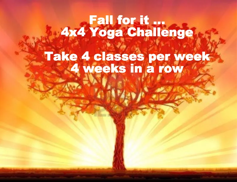 Fall For It 4x4 Challenge | It's not too late to START | Begin by Monday, October 19th