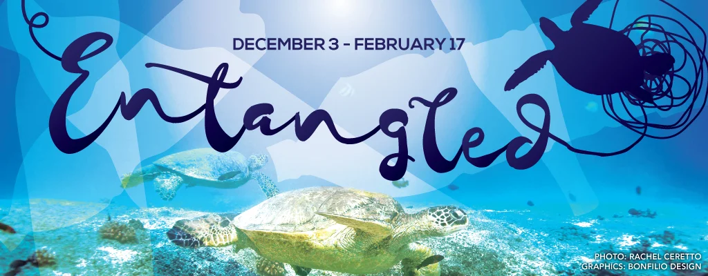 Social Media Cover image for “Entagled” – an art exhibition at The Animal Museum in Los Angeles.