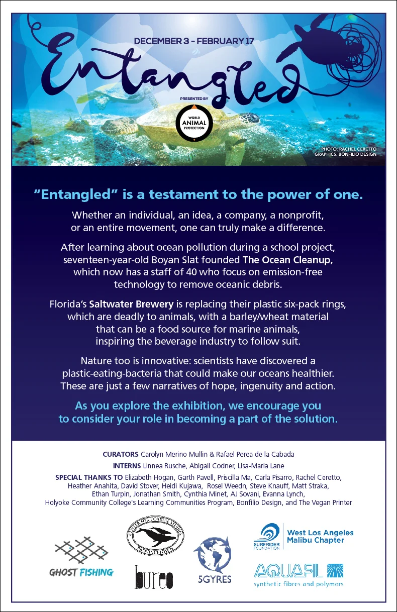 "Entangled" Poster