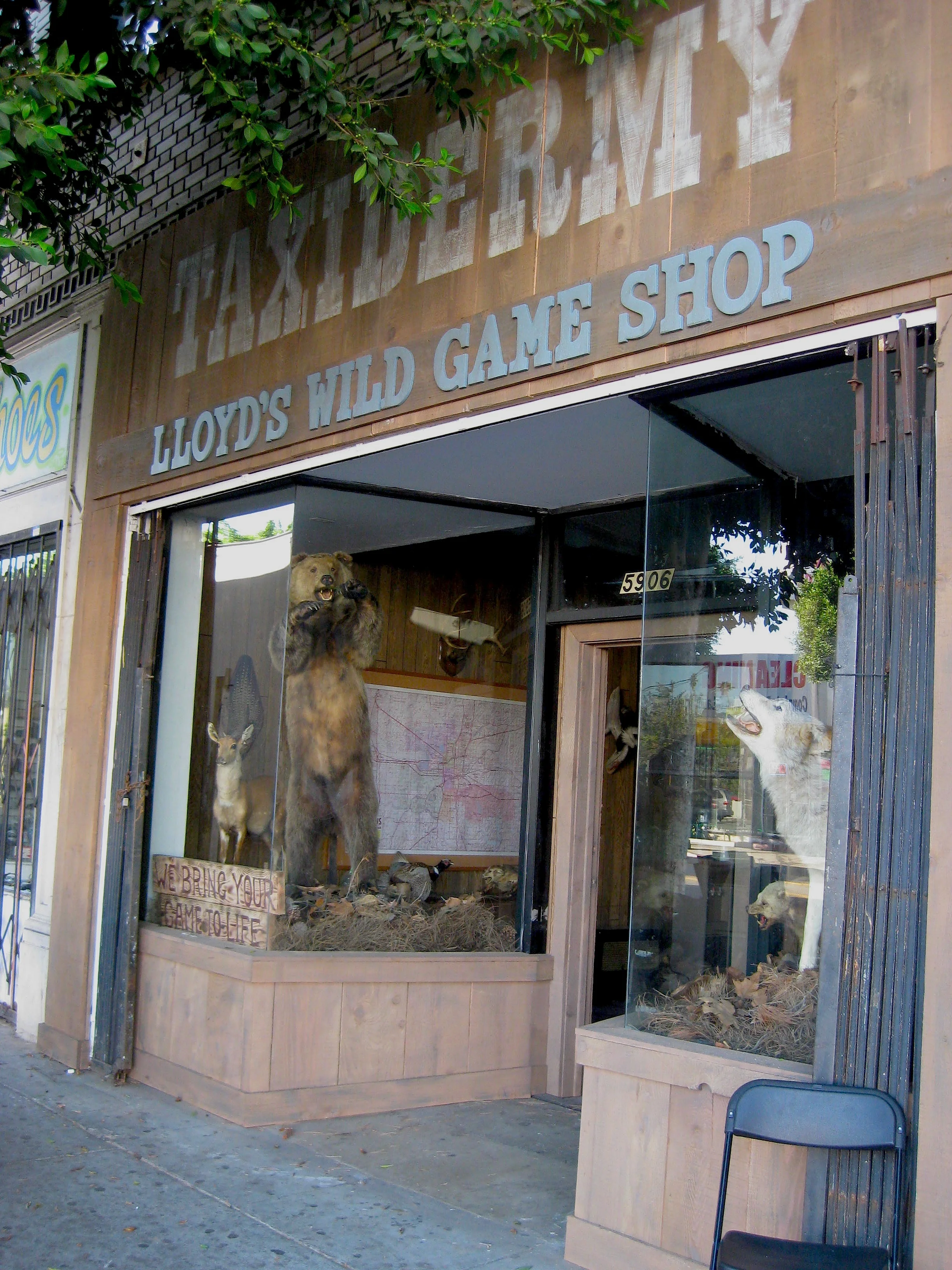 taxidermy copy.JPG