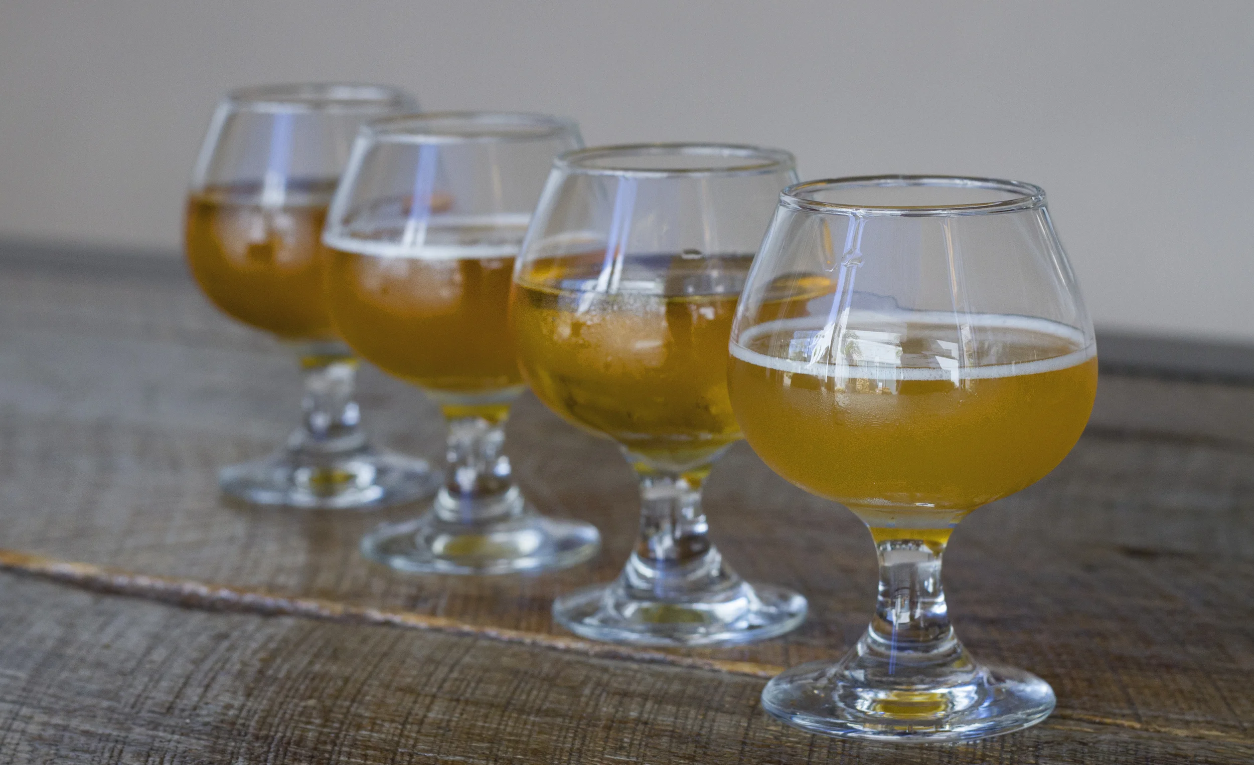 The Iron Press Costa Mesa - Flight of Tartness - Beer Lineup