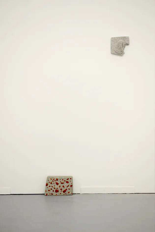 Grey.Wall.Cookie.2013.jpg
