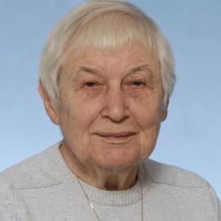 2008 Dr. Evelyn Shapiro