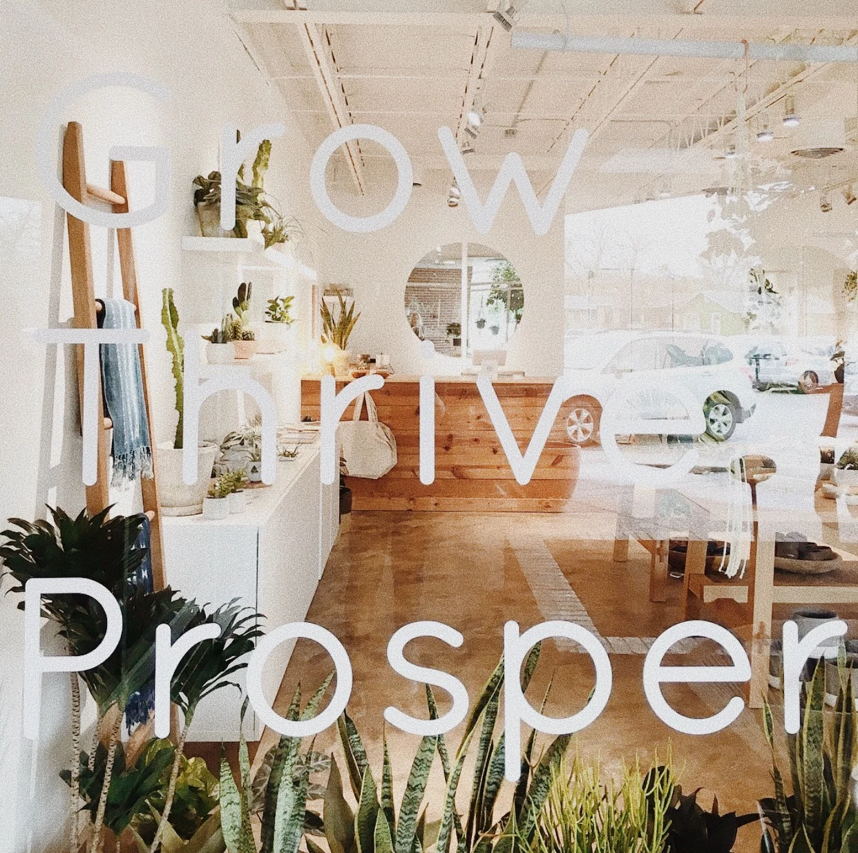 Artist Pop-up @ Flourish Shop