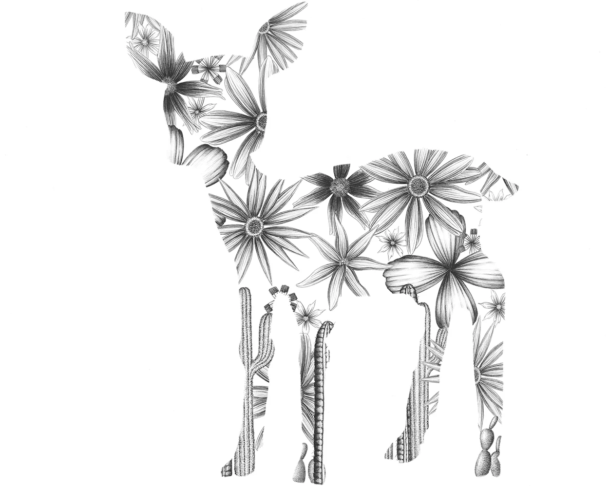 For Lily