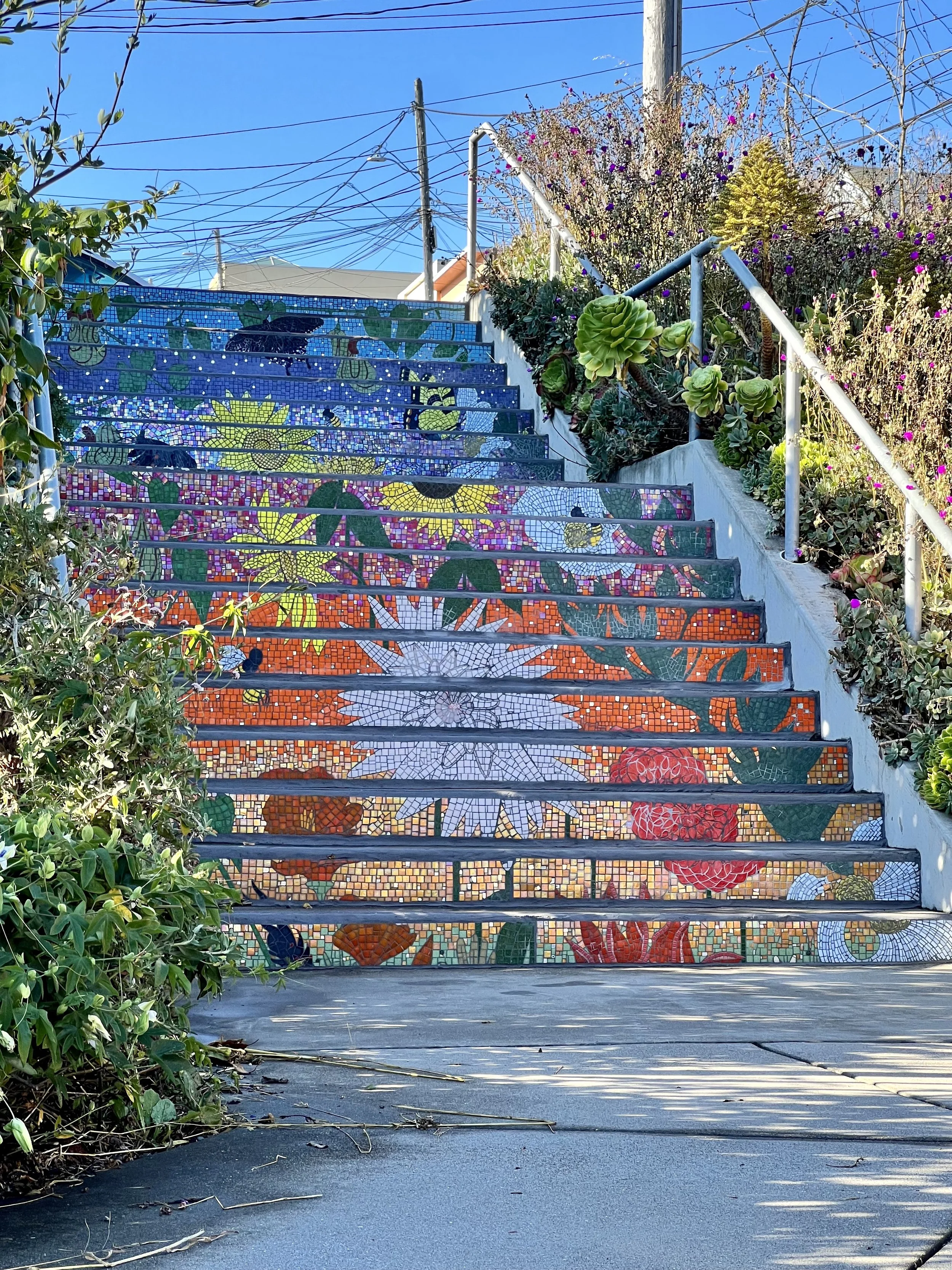 Ramsell Steps 1.jpeg