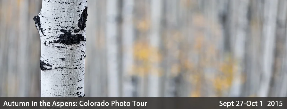 dd_colorado_header_final_2015.jpg