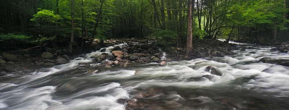 dd_smokies_header_final_2015.jpg