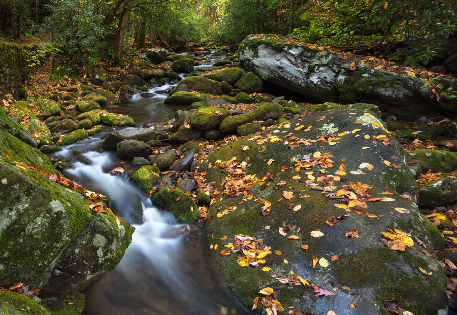 Textures of Roaring Fork