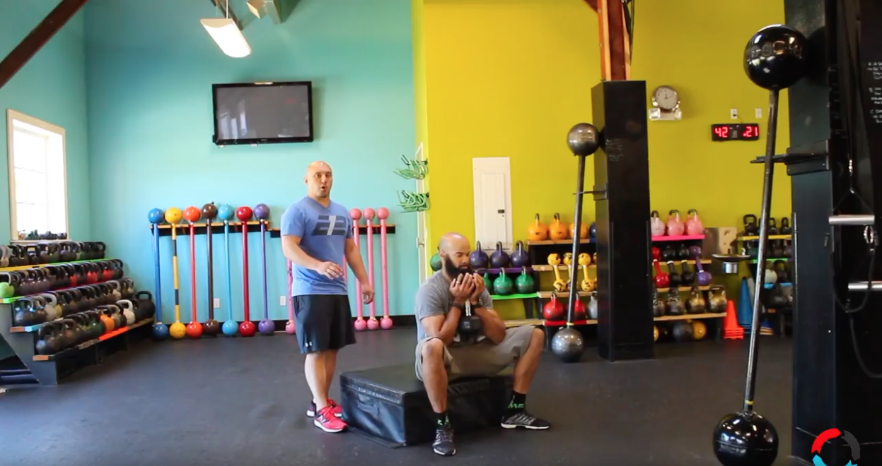Pause Squats