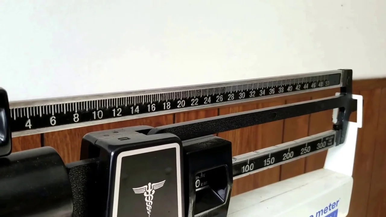 I Gained Weight! Great! Let's See What You're Made of!