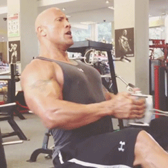 rock focus.gif