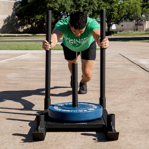 Sled Everyday??