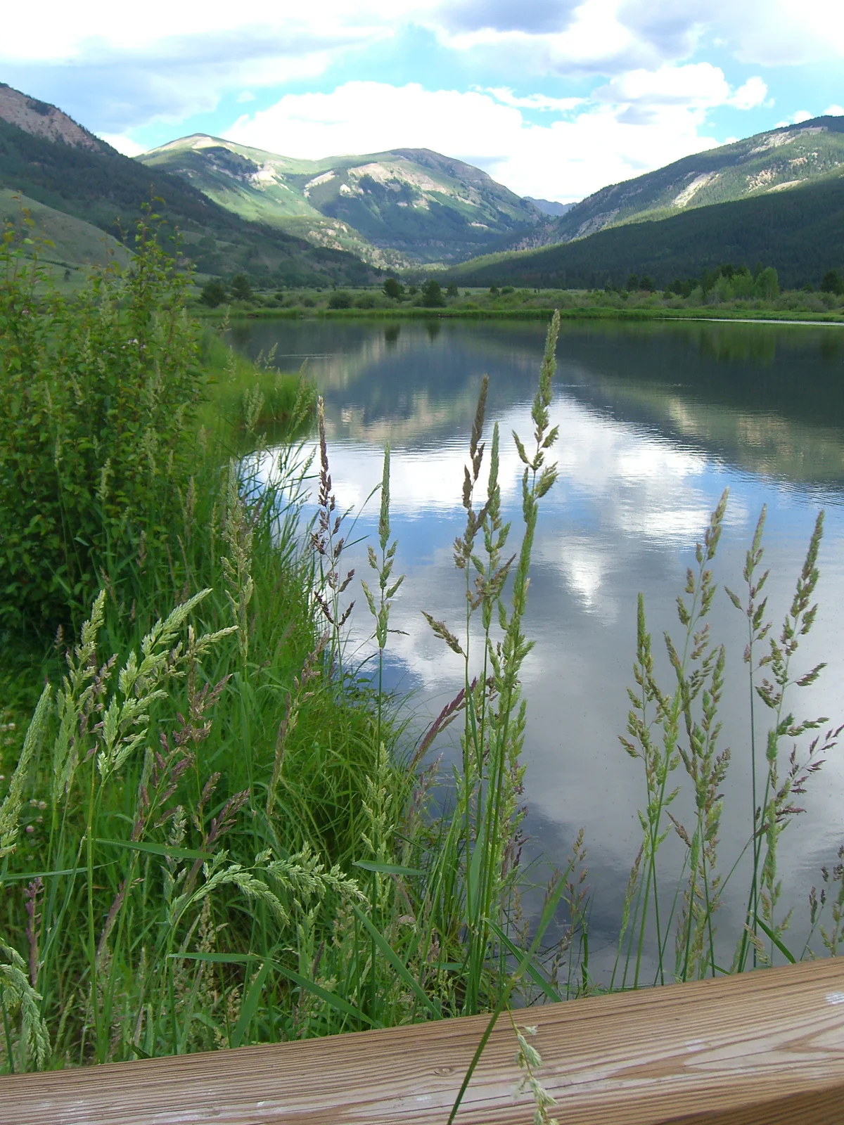 Tips for Balance During the Holiday Season