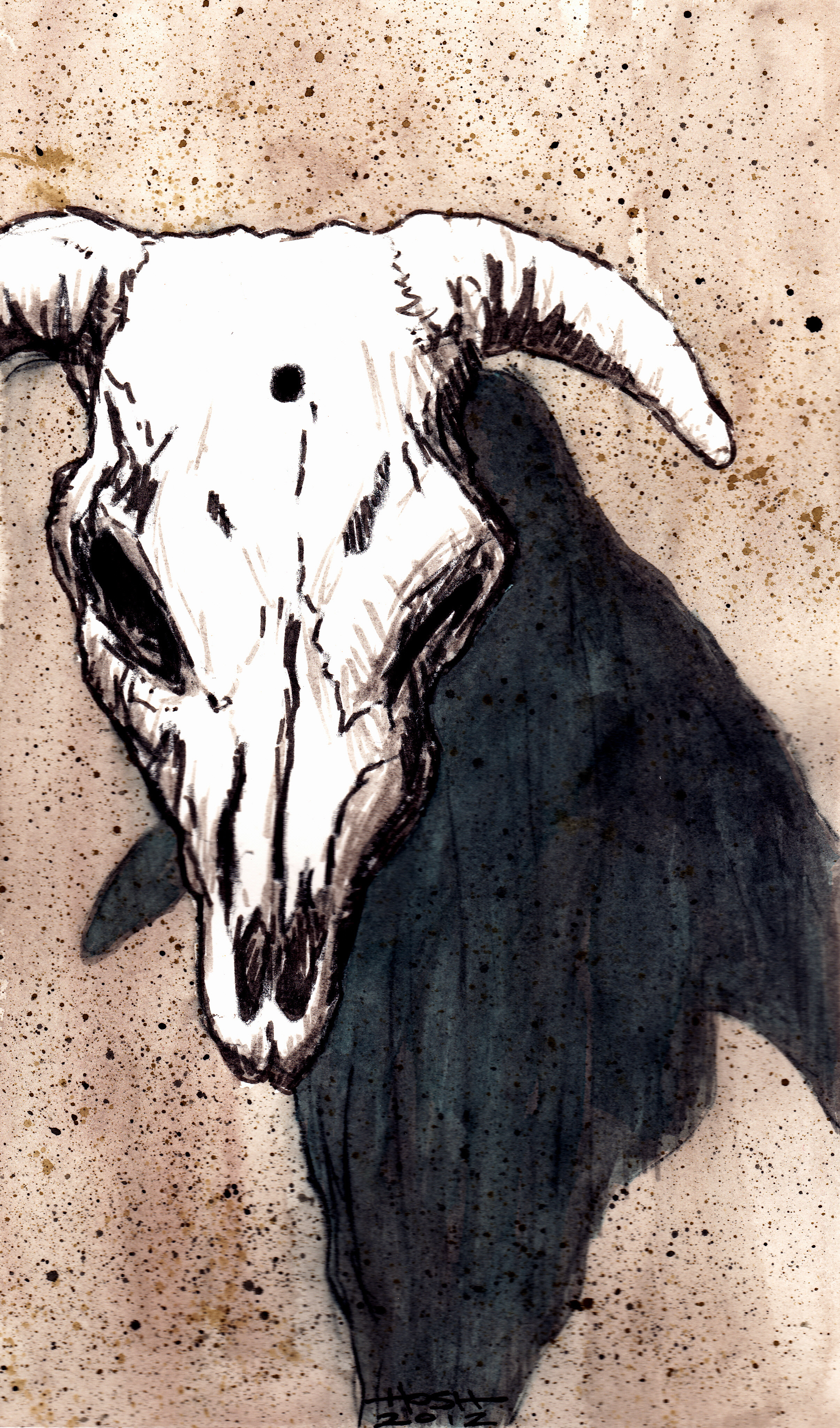 Corrales Cow Skull, Bullet Hole (2012).jpg