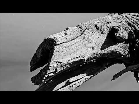 Psalms 86 - Rio Grande