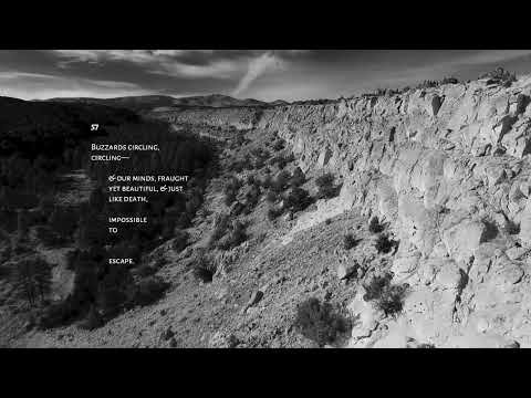 Psalms 57 - Buzzards