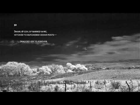 Psalms 32 - Barbed Wire