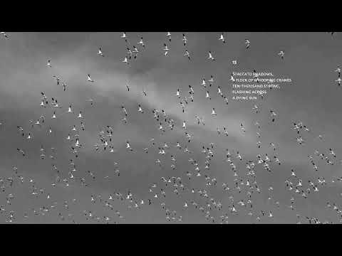 Psalms 15 - Cranes