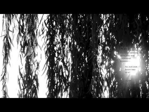 Psalms 90 - Bodhi Tree