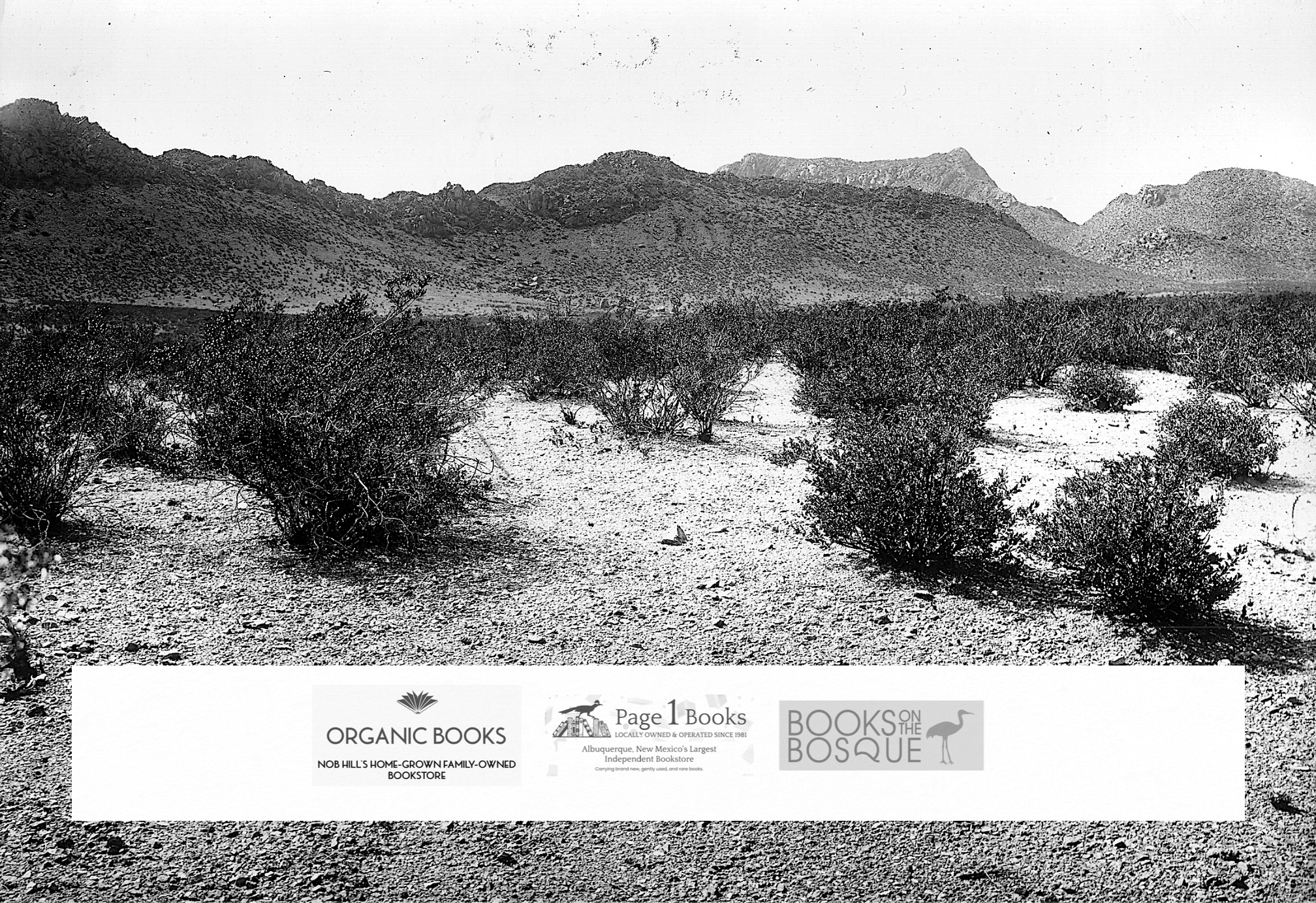 Independent Bookstore Day