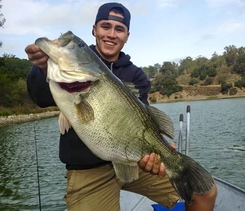 Angler Catches Giant 16 lb Bass