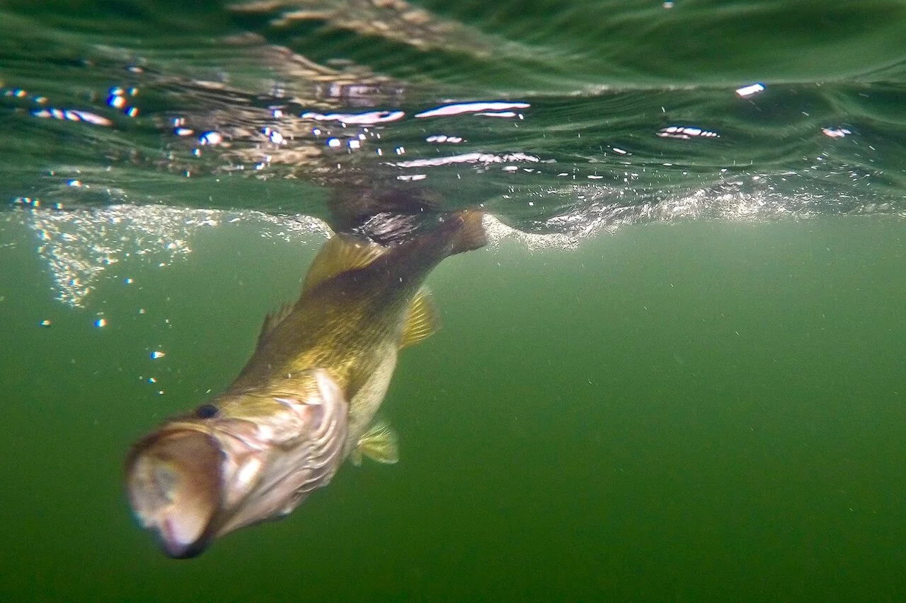 Understanding Strike Zones 