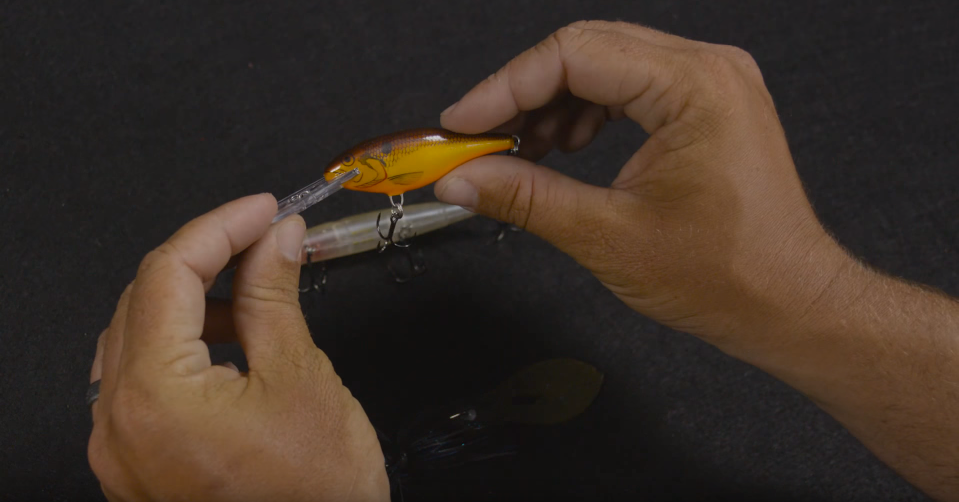 3 must have baits for winter bass fishing