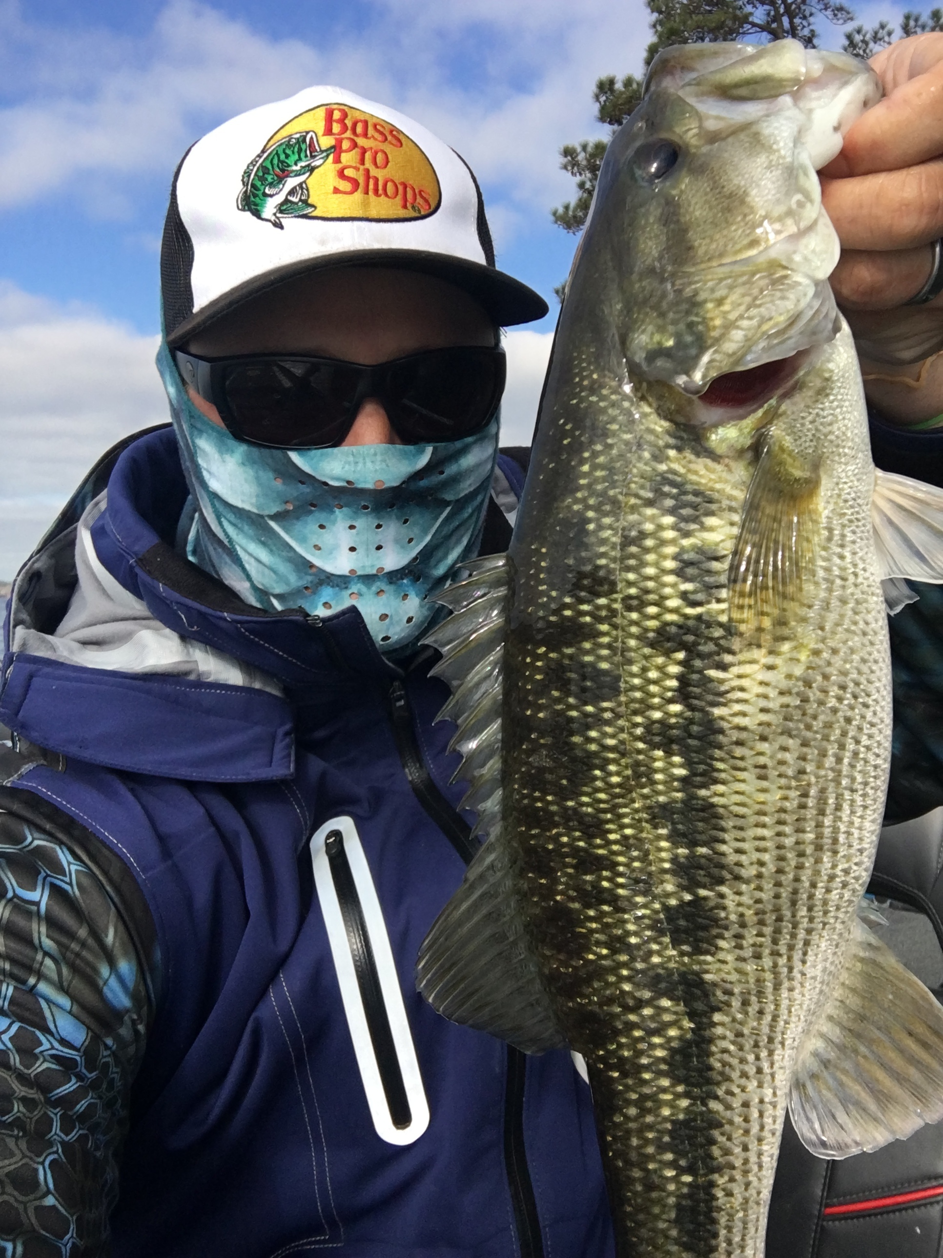 Bed Fishing With a Carolina Rig — Sweetwater Fishing Blog