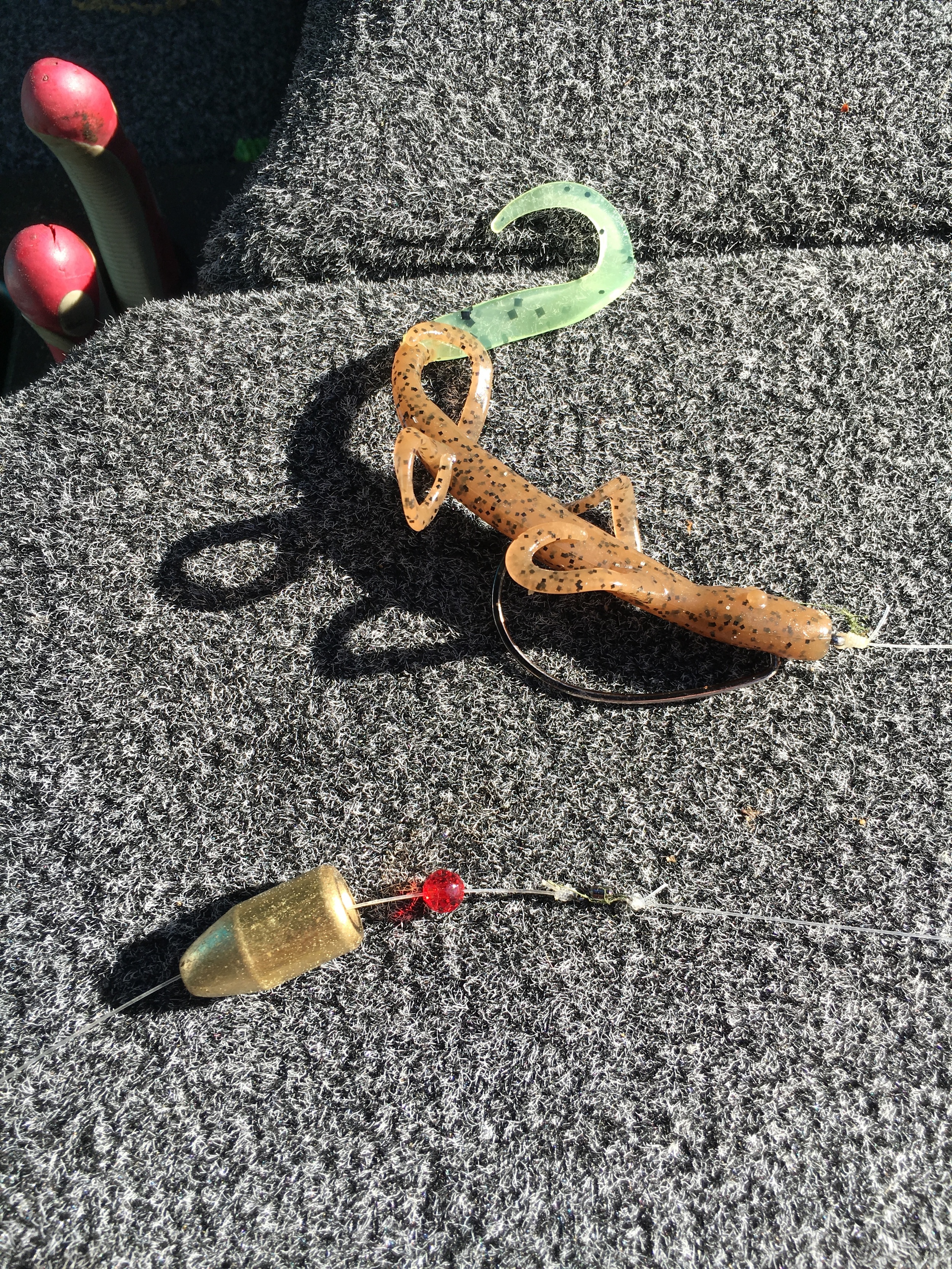 Bed Fishing With a Carolina Rig — Sweetwater Fishing Blog