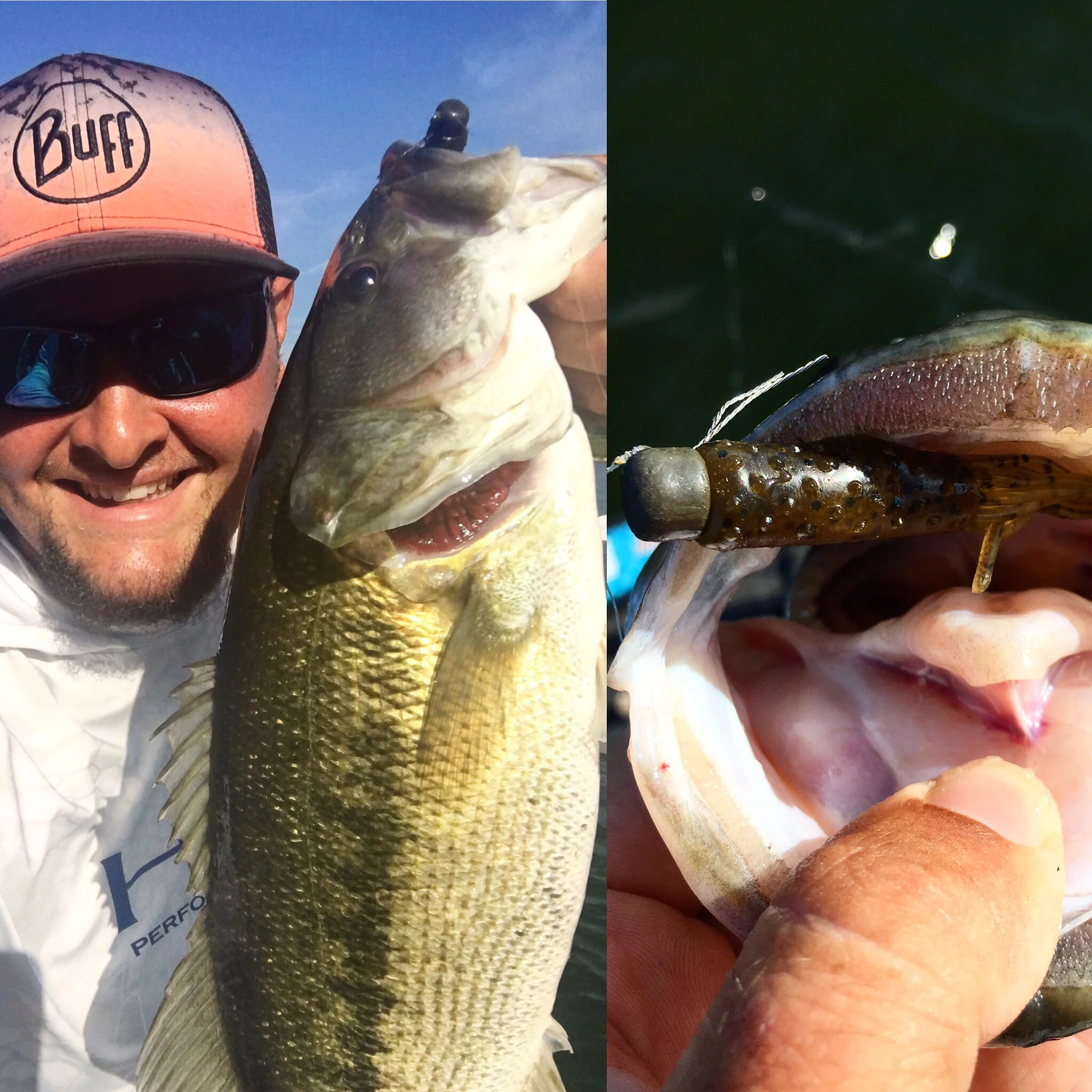 TRD TubeZ The Ultimate Finesse Bait