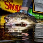 Question: "Joey and Sonar- who said they grew up fishing in CT? What Lake? Don't know too many lakes with smallies….they're all in rivers by me" - Tommy