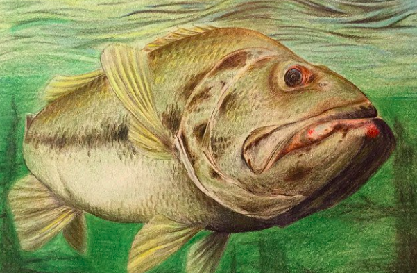 Putting Passion To Paper