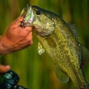 Question:  What to use for fishing from the shore?