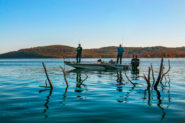 Beaver Lake & Clear Water Fishing Bait Choices