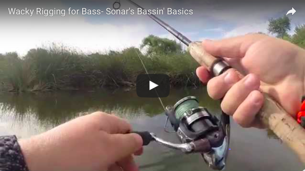 Wacky Rigging For Bass