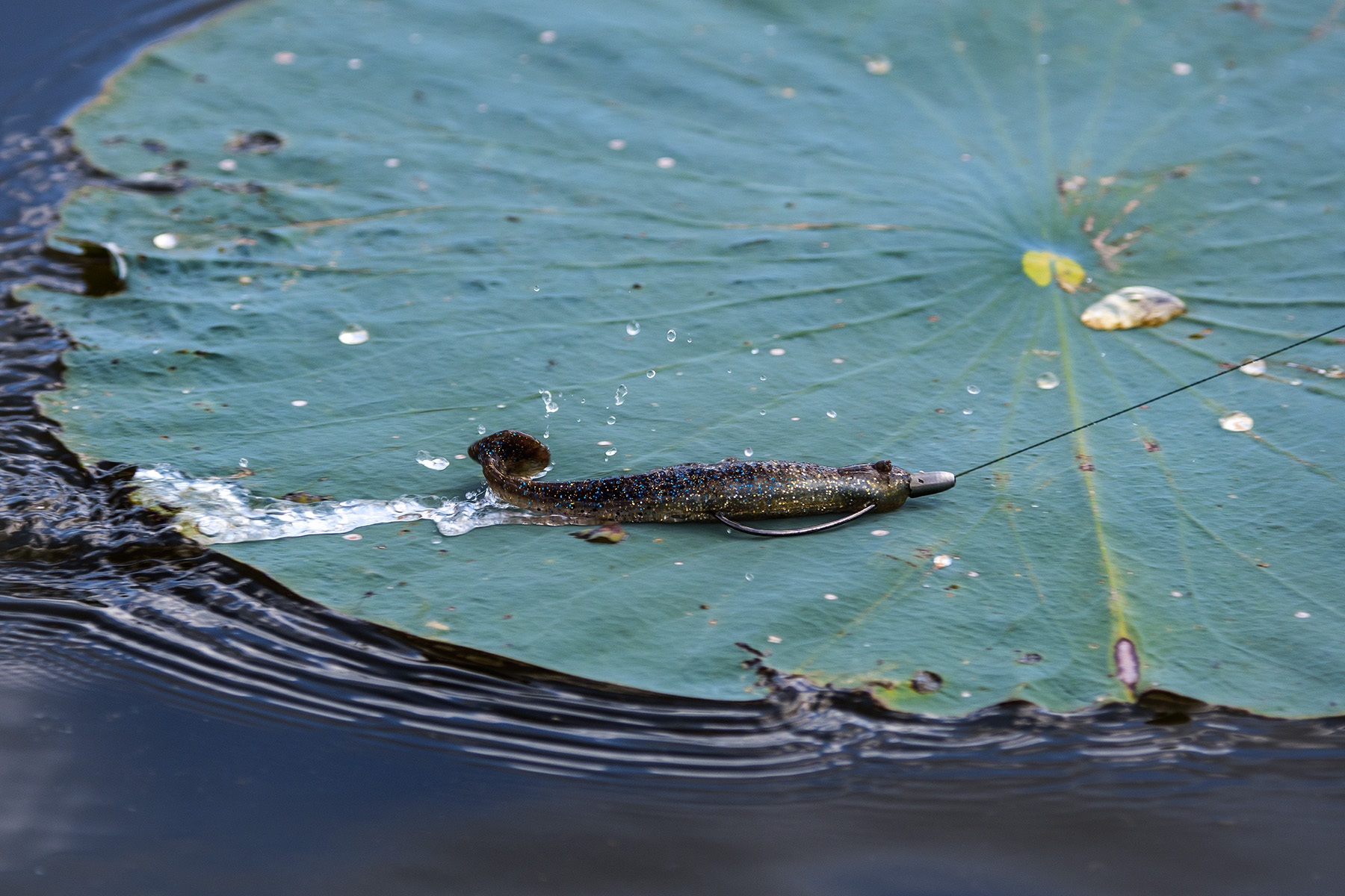 The Grass KickerZ is an excellent option for searching for spawning bass.