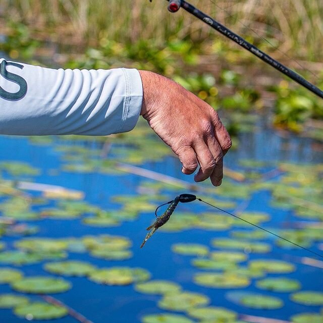 The underhand pitch cast is definitely one of the most important techniques in all of bass fishing! #pitching #fishing #fishsweetwater #casting #sweetwatertv
@zmanfishingproducts 
@scales_gear 
@jasonstemplephoto