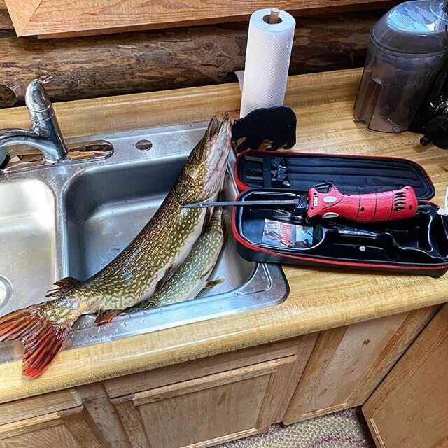 It&rsquo;s time to do work with the @bubbablade Electric Filet Knife!!! #fishing #fishsweetwater #sweetwatertv #eatfish #pike #northernpike #pikefishing #bubbaknife