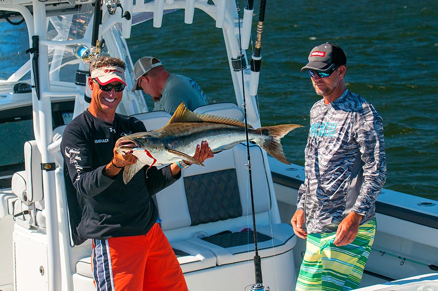 cobia number two on board. nikon d300s, 85mm, f/5.6, 1/800 sec