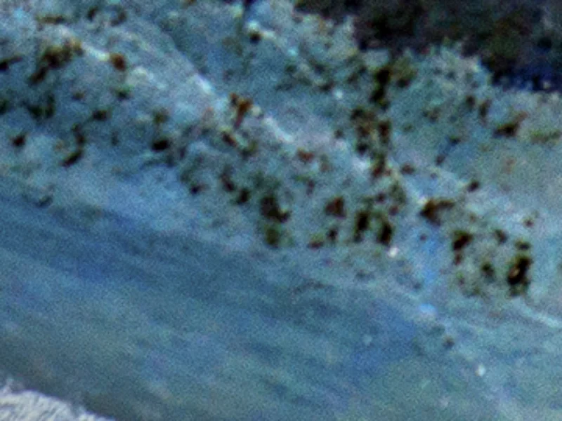 #MacroMonday Fish: Revealed