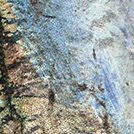 #MacroMonday Fish: Revealed