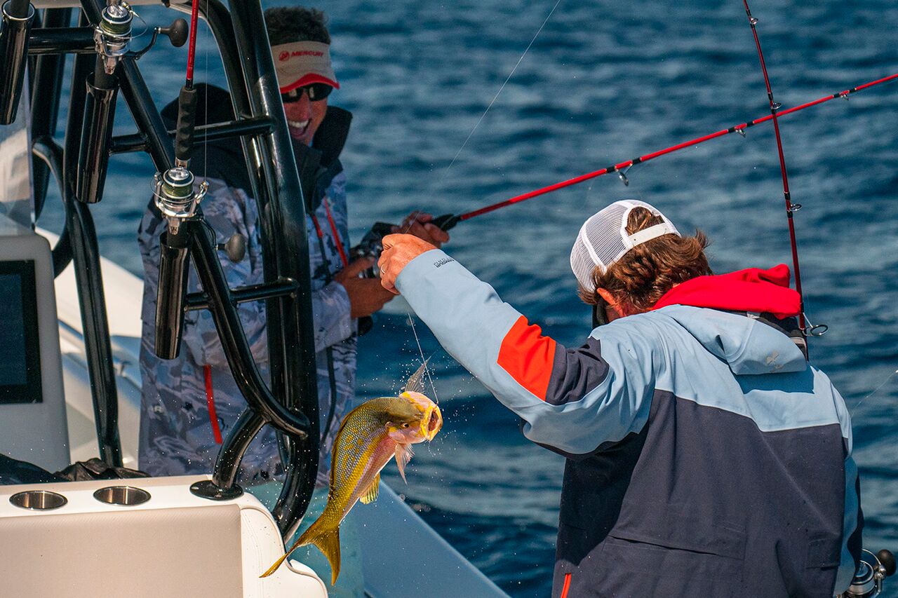 Setup for Yellowtail Snapper — Into the Blue Fishing Blog