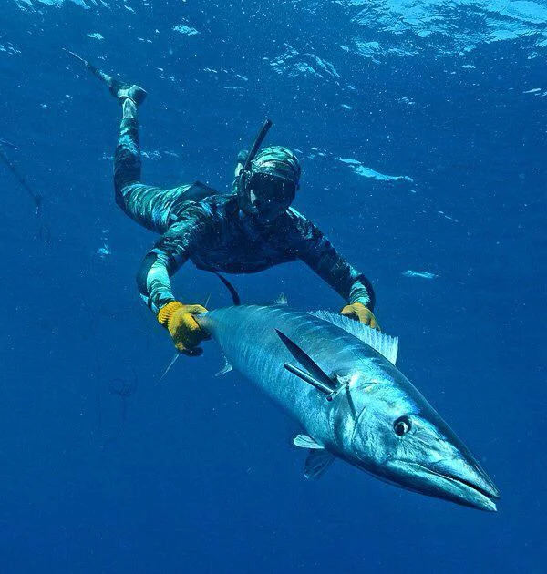 Looking for THE MAN- Wahoo