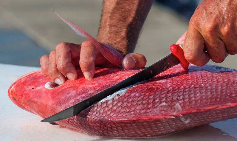 Roasted Rosemary Red Snapper