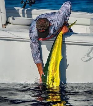Mahi Tacos Into The Blue Fishing Blog